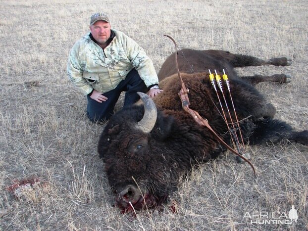 Bowhunting Buffalo / Bison