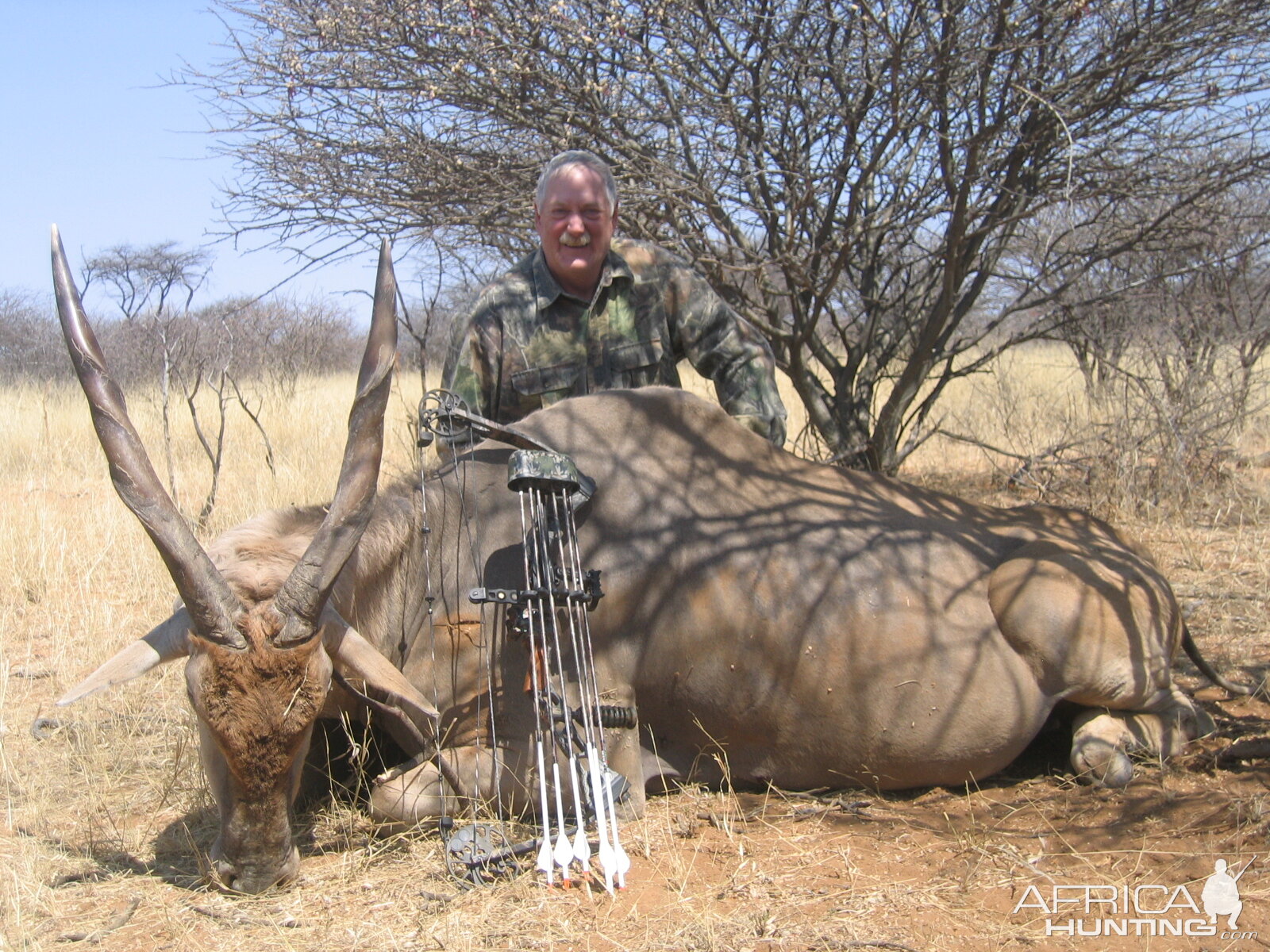 Bowhunting Cape Eland in Namibia