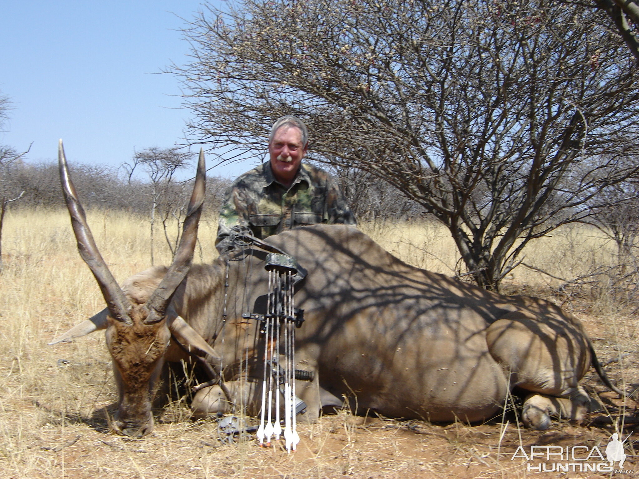 Bowhunting Cape Eland in Namibia