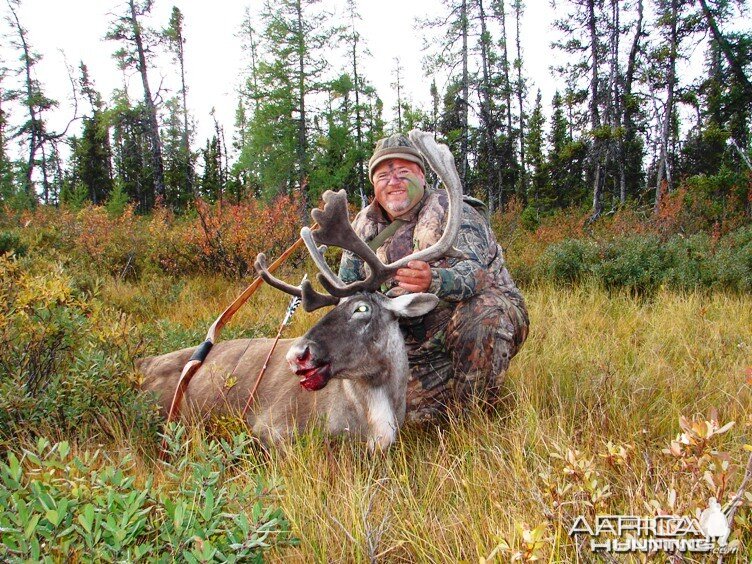 Bowhunting Caribou