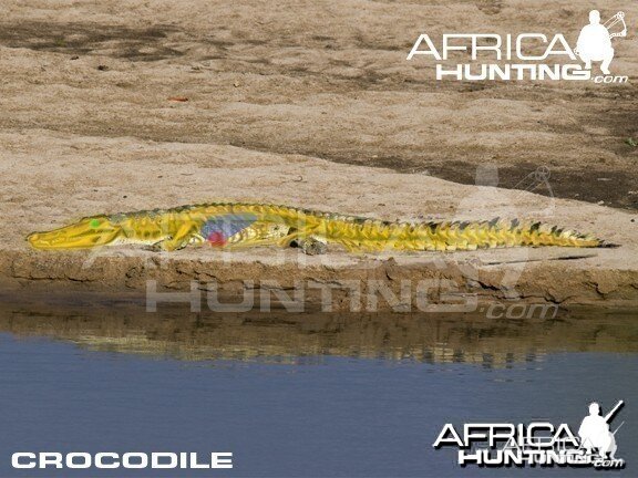 Bowhunting Crocodile Shot Placement