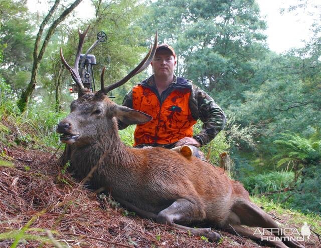 Bowhunting Deer in New Zealand