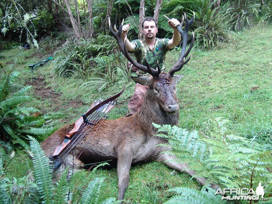 Bowhunting Deer in New Zealand