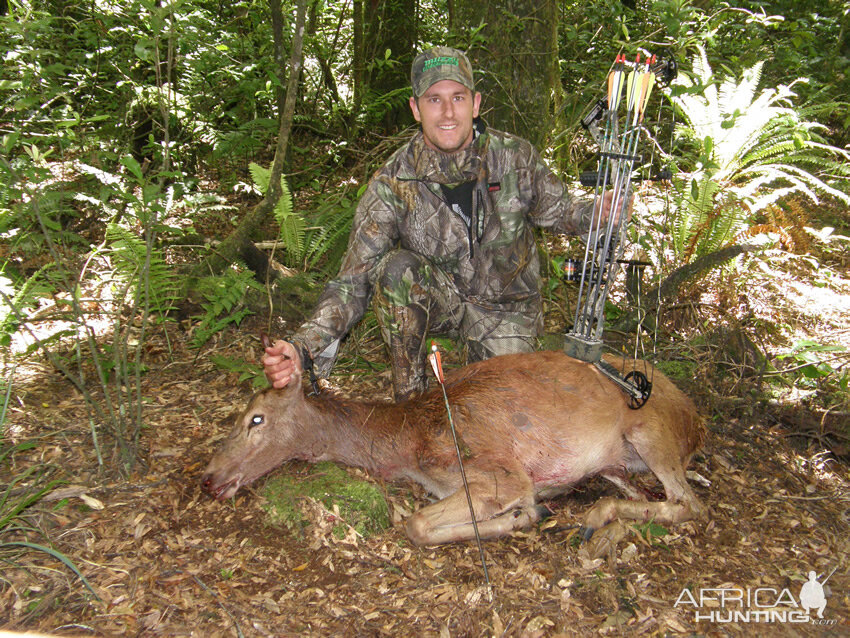 Bowhunting Deer in New Zealand