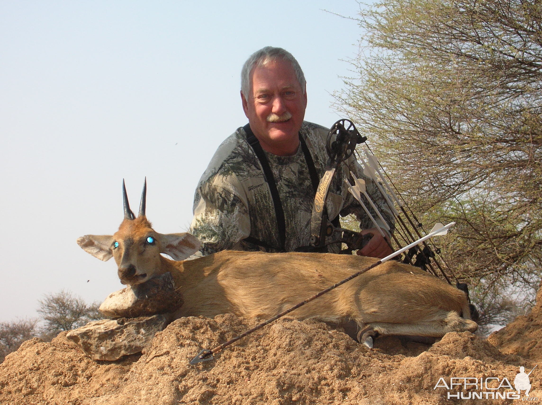 Bowhunting Duiker in Namibia