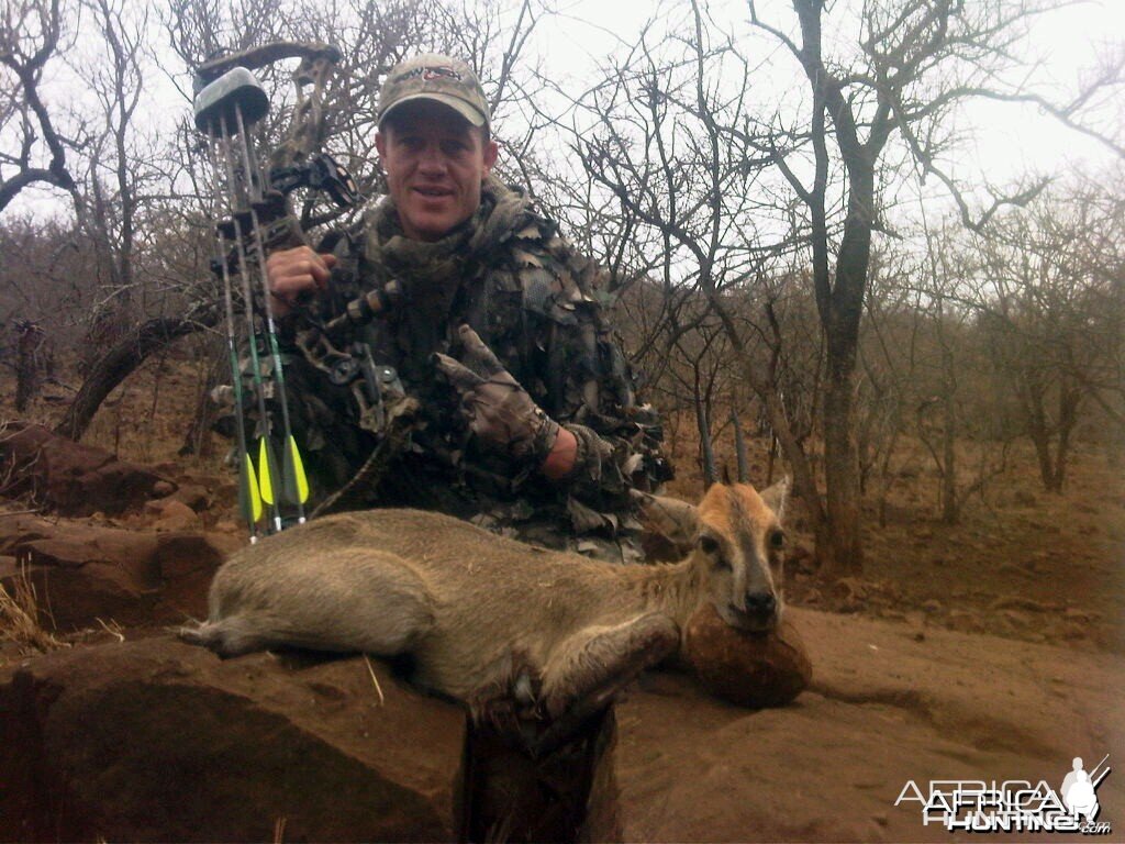 Bowhunting Duiker South Africa