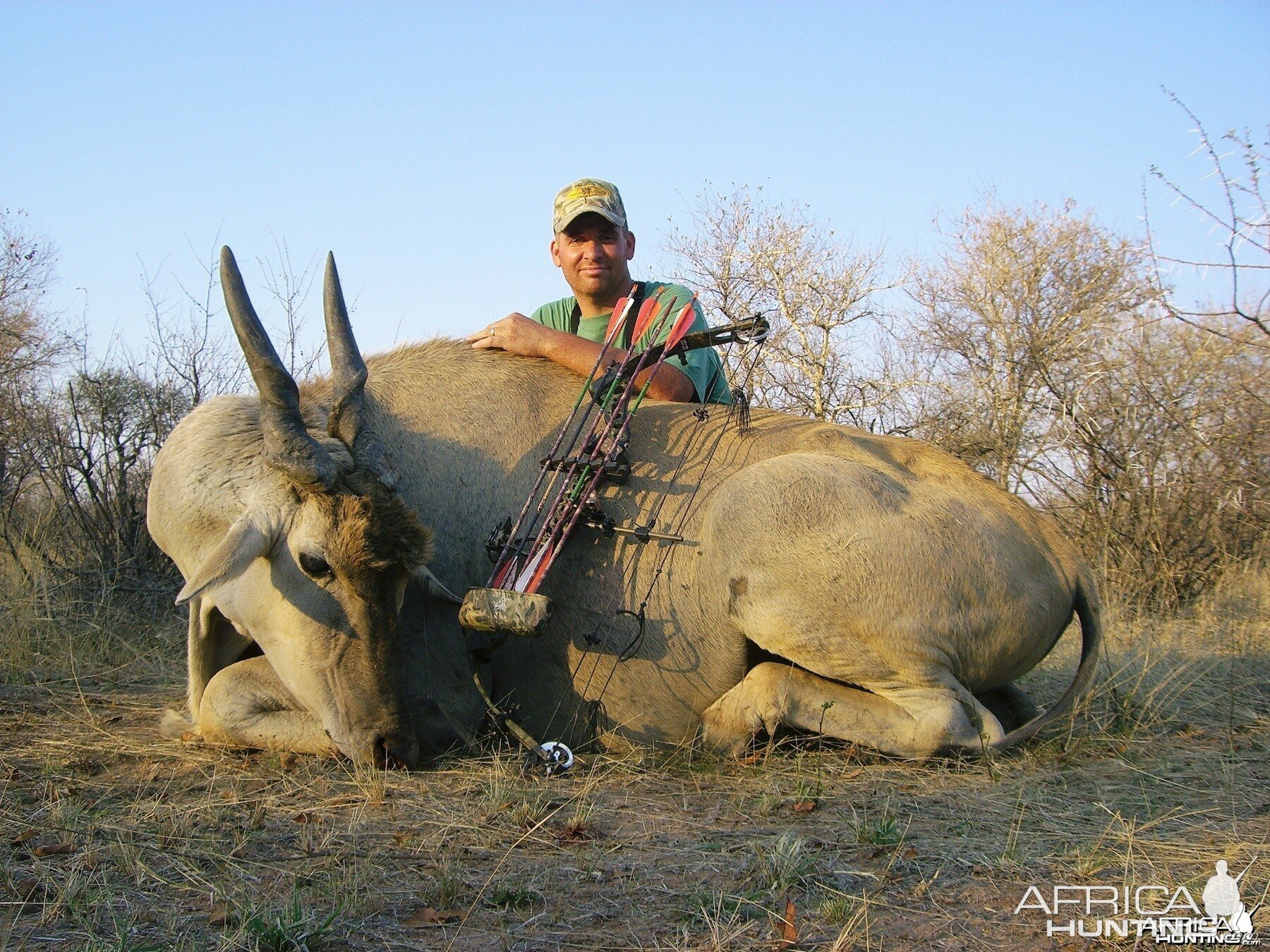 Bowhunting Eland