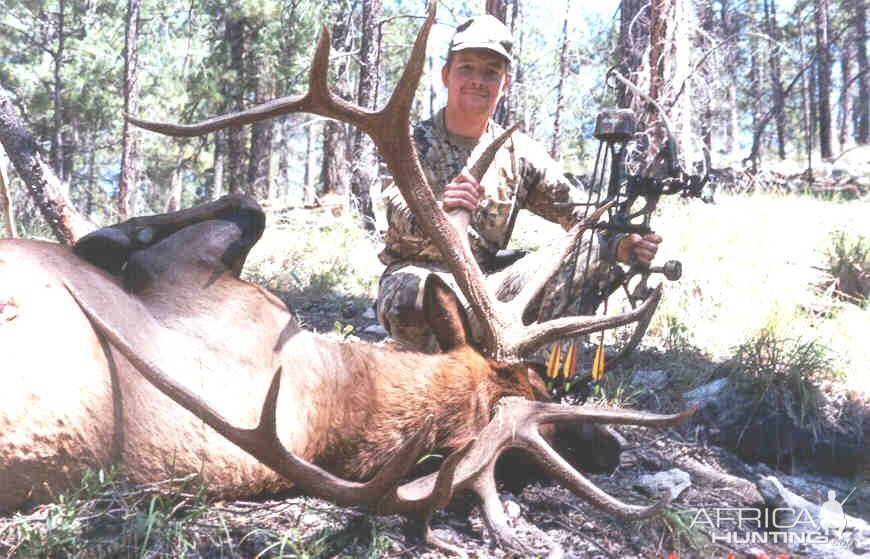 Bowhunting Elk in New Mexico