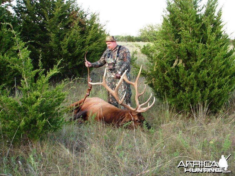 Bowhunting Elk