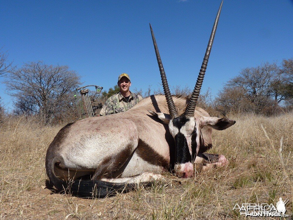 Bowhunting Gemsbok South Africa