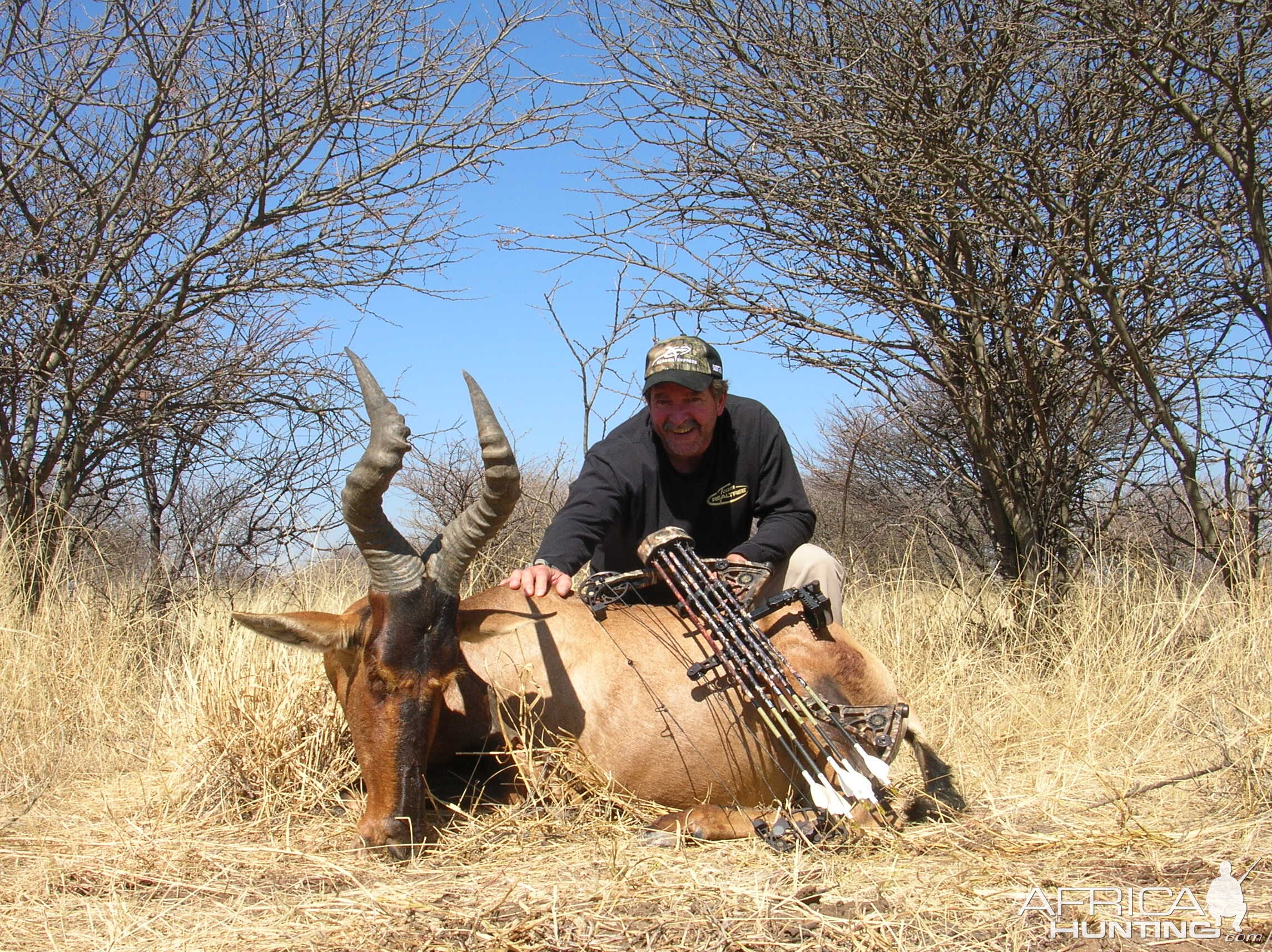 Bowhunting Hartebeest in Namibia