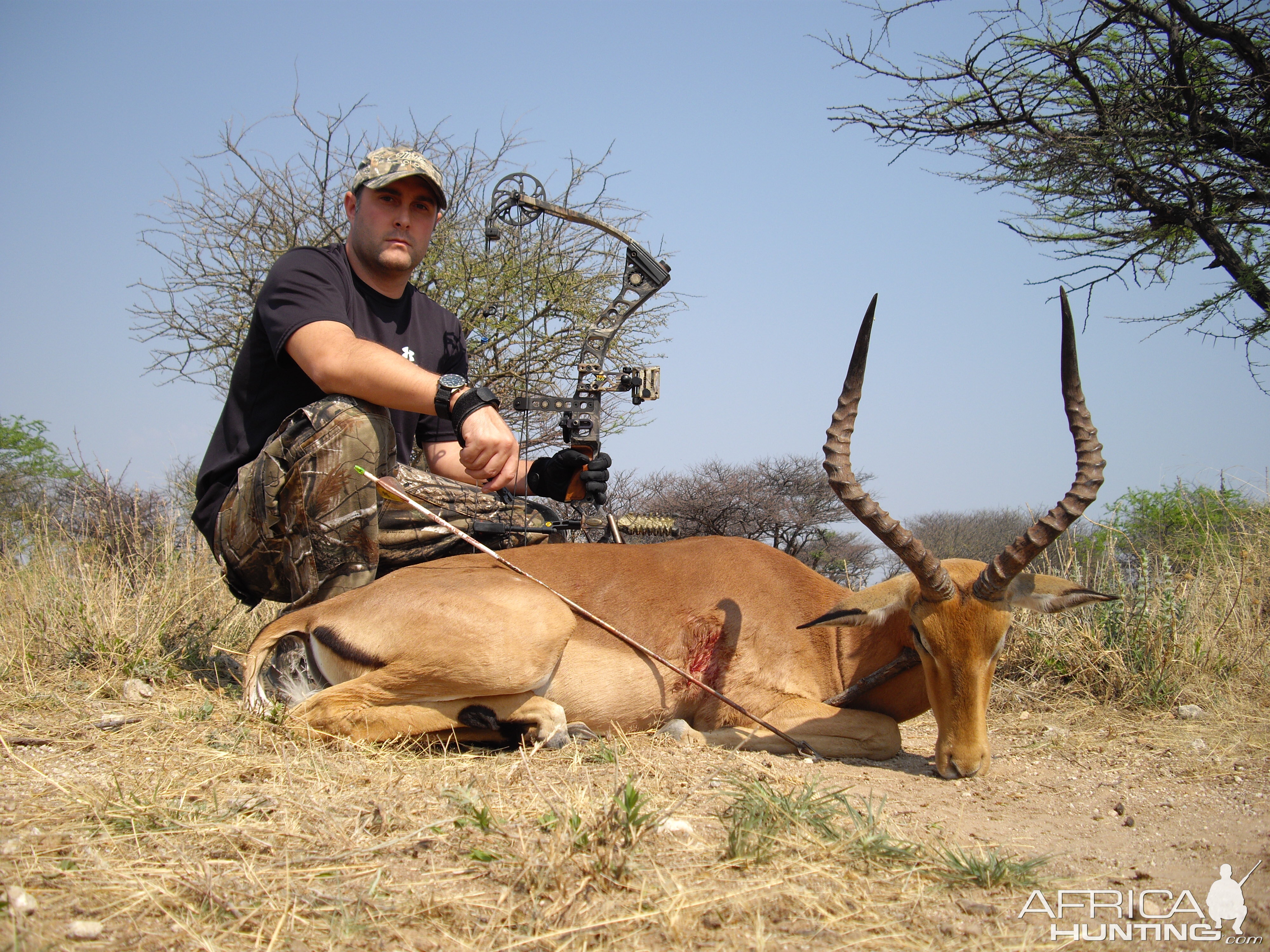 Bowhunting Impala in Namibia