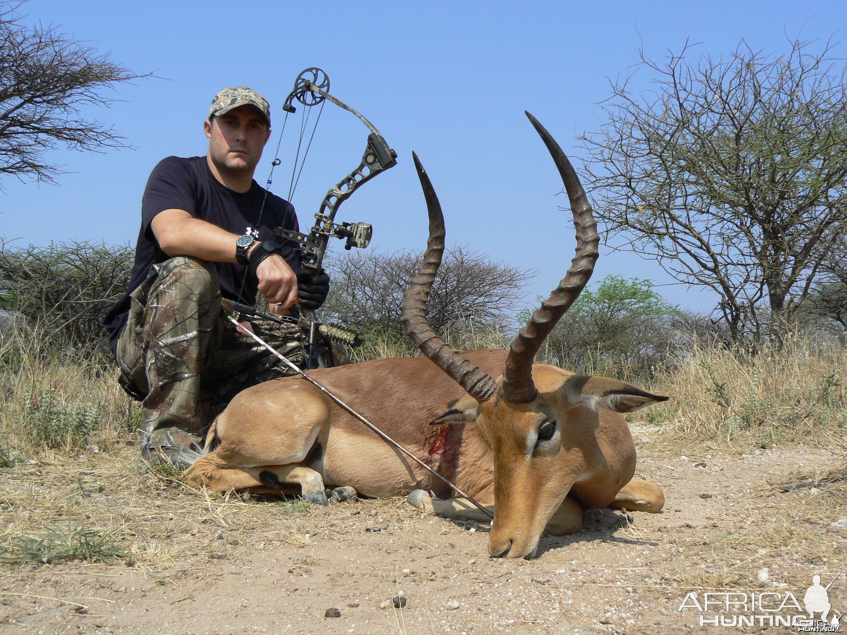 Bowhunting Impala in Namibia