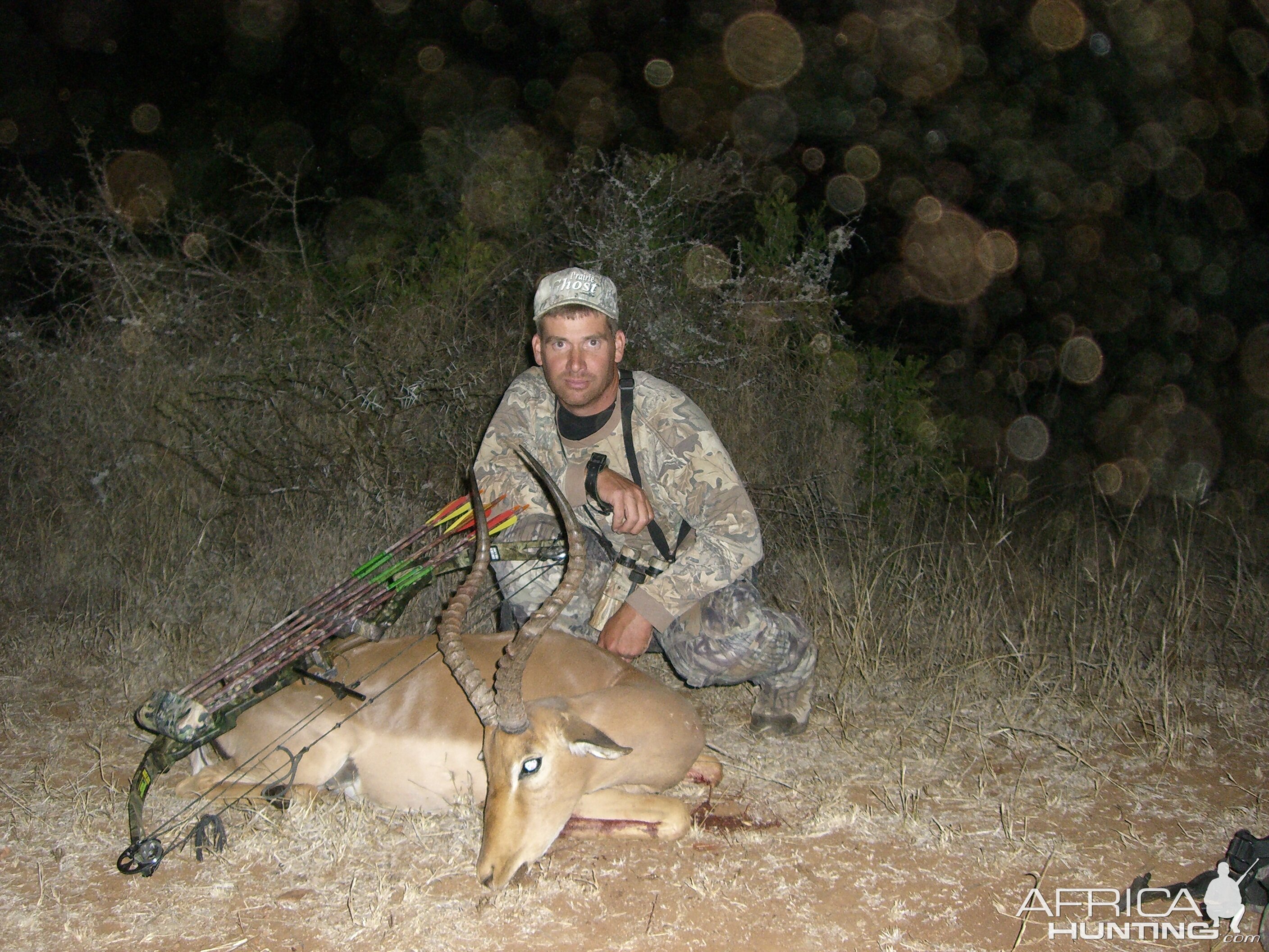 Bowhunting Impala