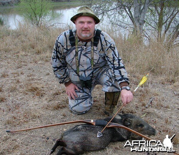 Bowhunting Javelina