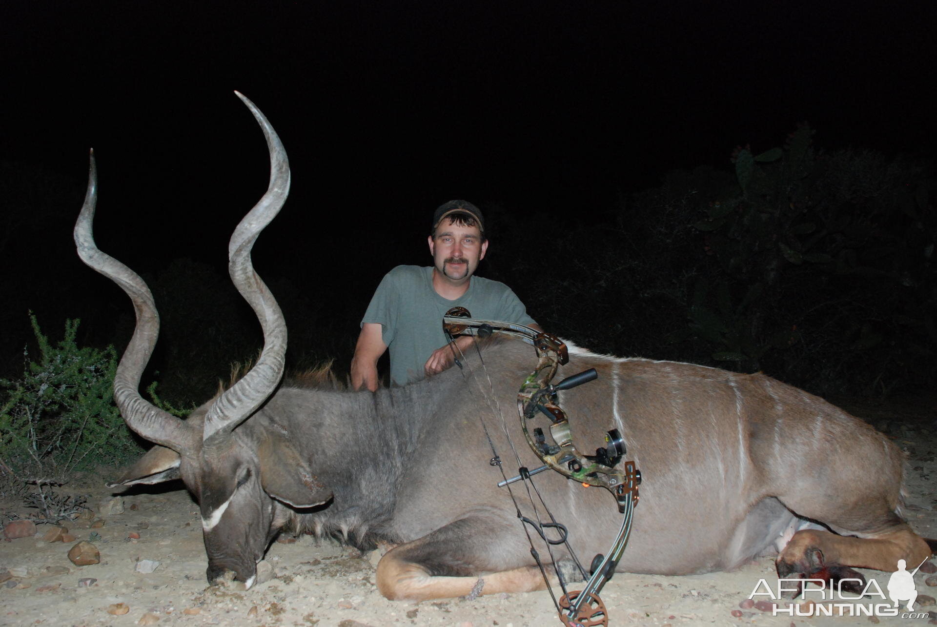 Bowhunting Kudu