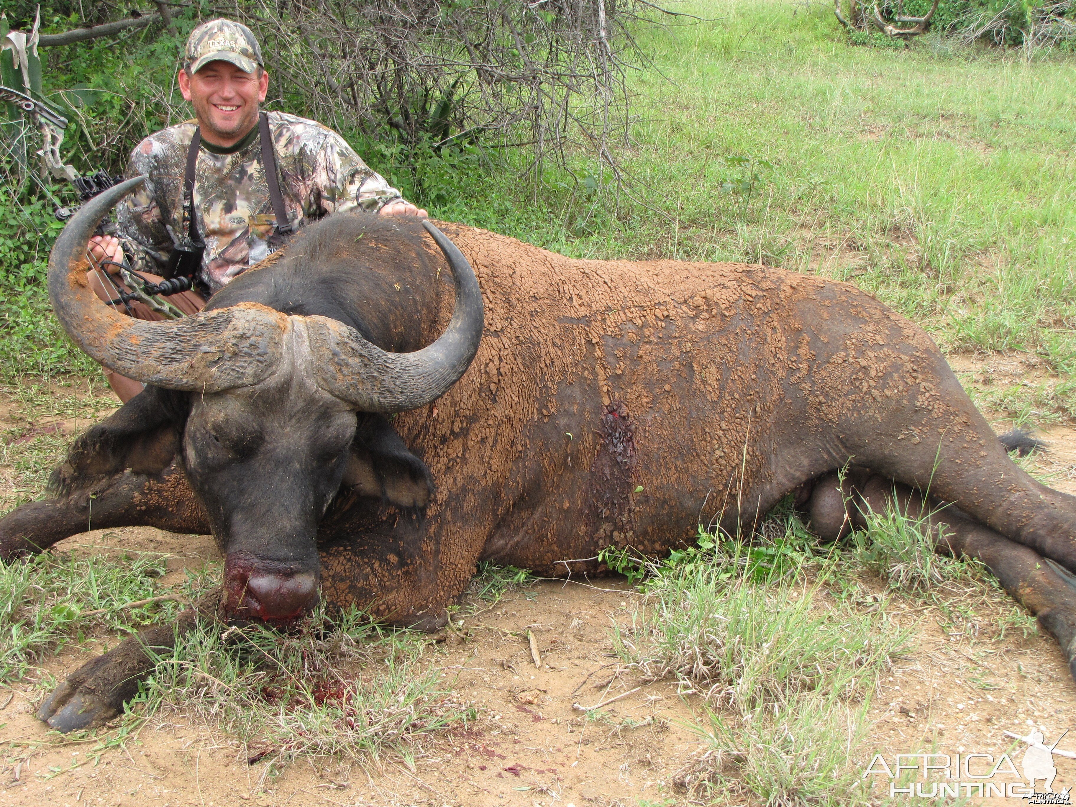 Bowhunting Nile Buffalo Uganda