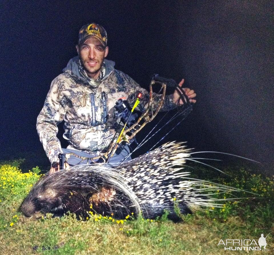 Bowhunting Porcupine