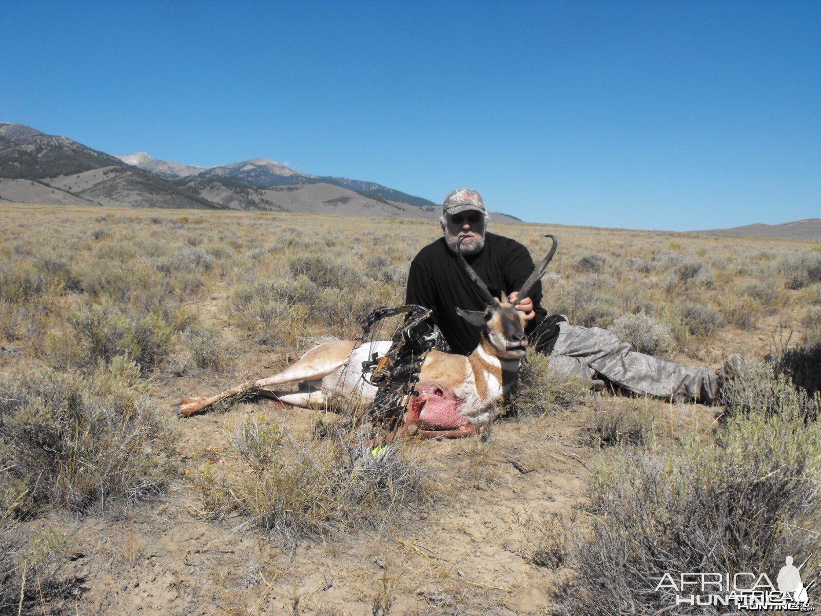 Bowhunting Pronghorn