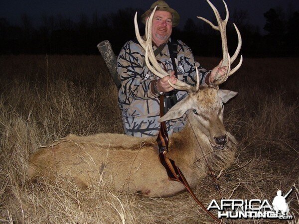 Bowhunting Red Deer