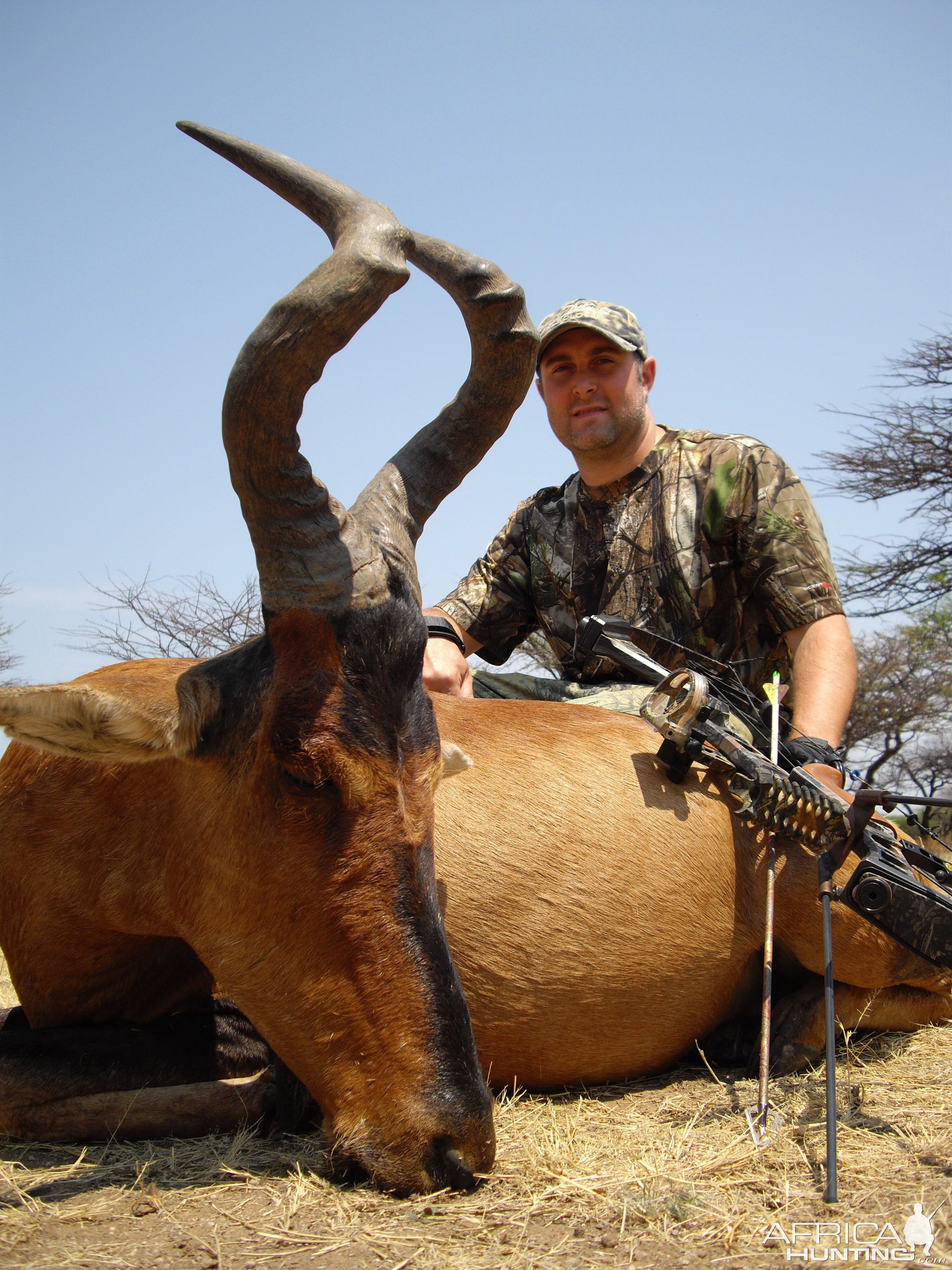 Bowhunting Red Hartebeest in Namibia