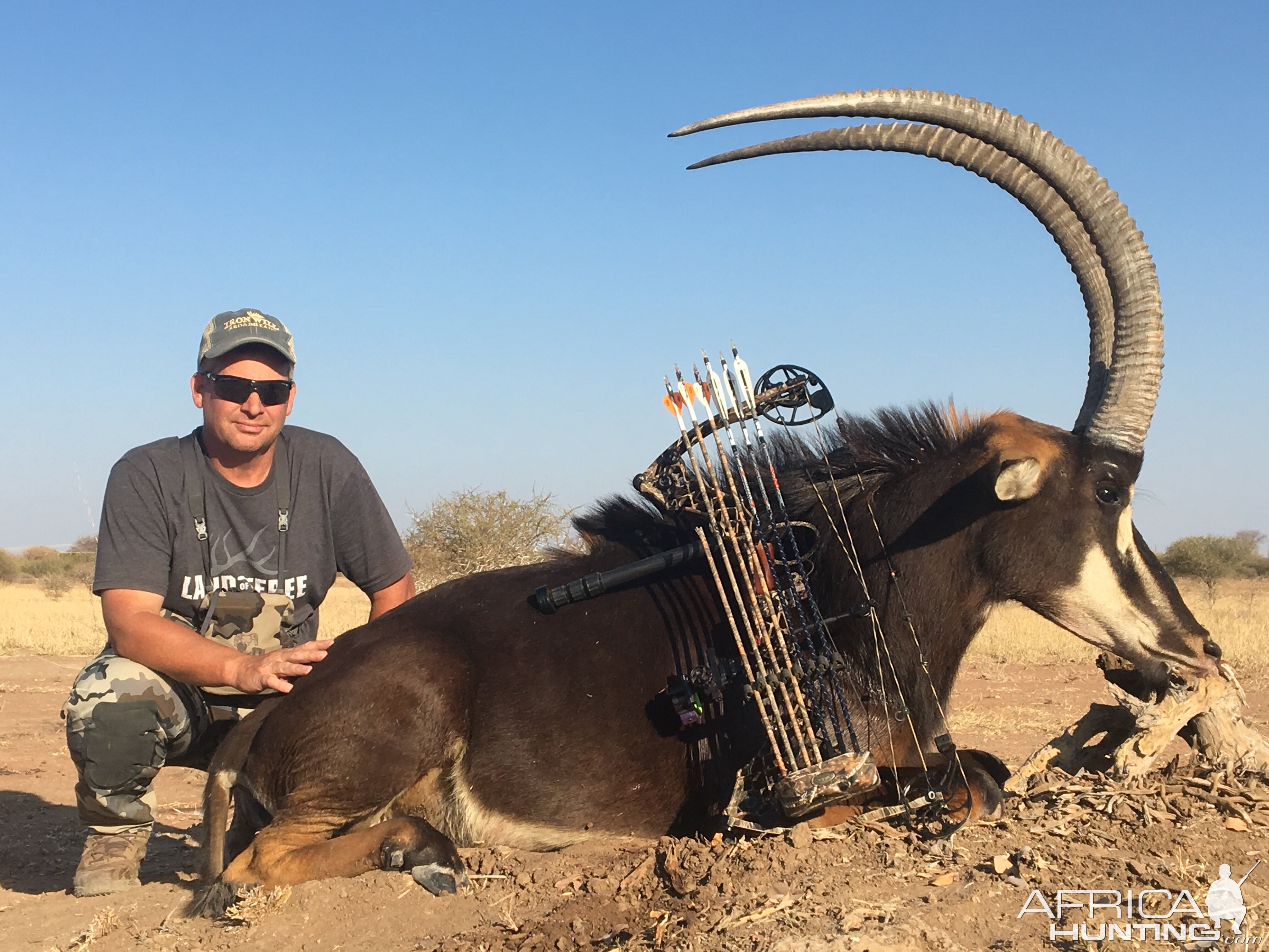 Bowhunting Sable South Africa