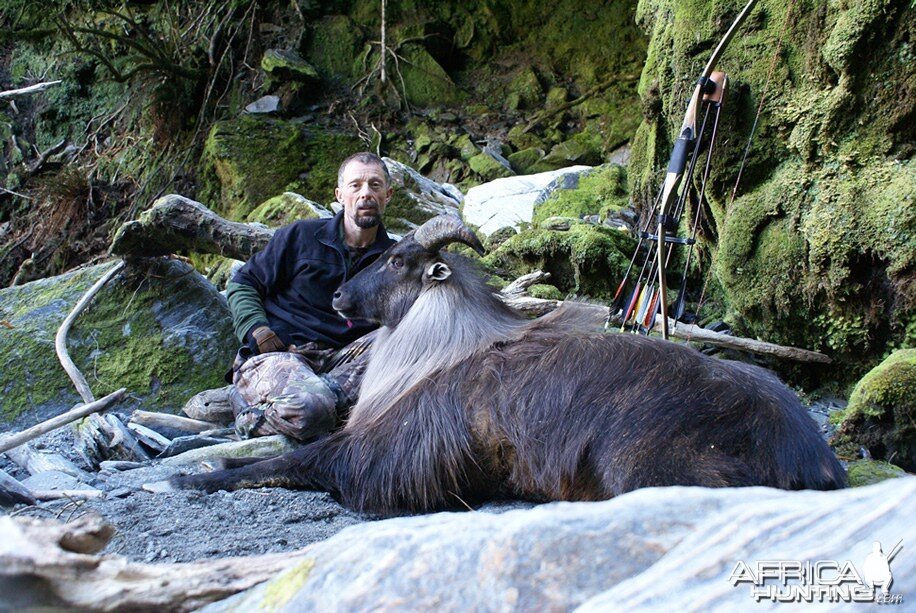 Bowhunting Tahr in New Zealand