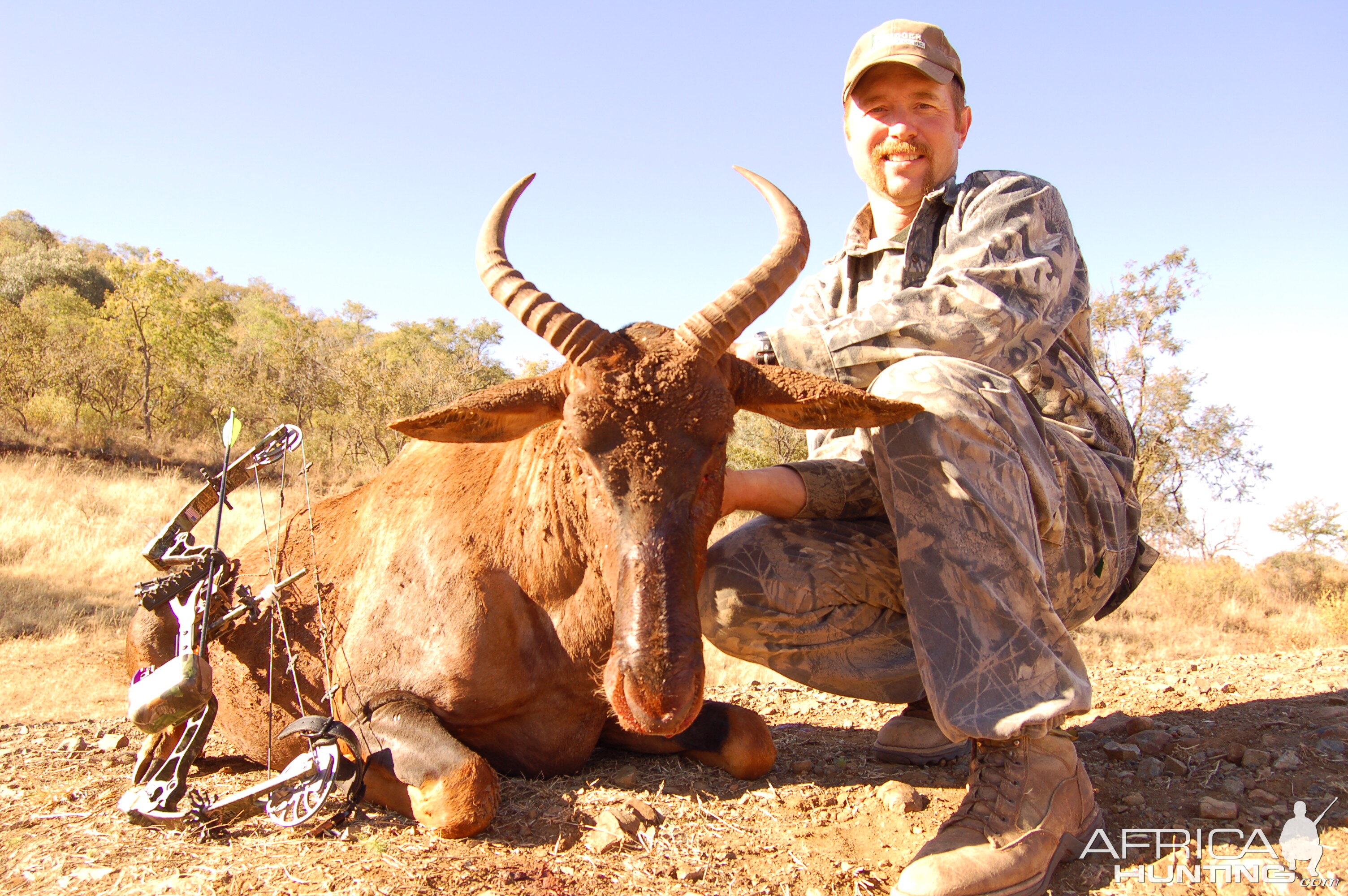 Bowhunting Tsessebe with Wintershoek Johnny Vivier Safaris in SA