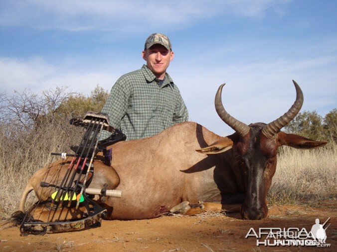 Bowhunting Tsessebe