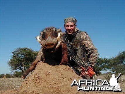 Bowhunting Warthog in Namibia