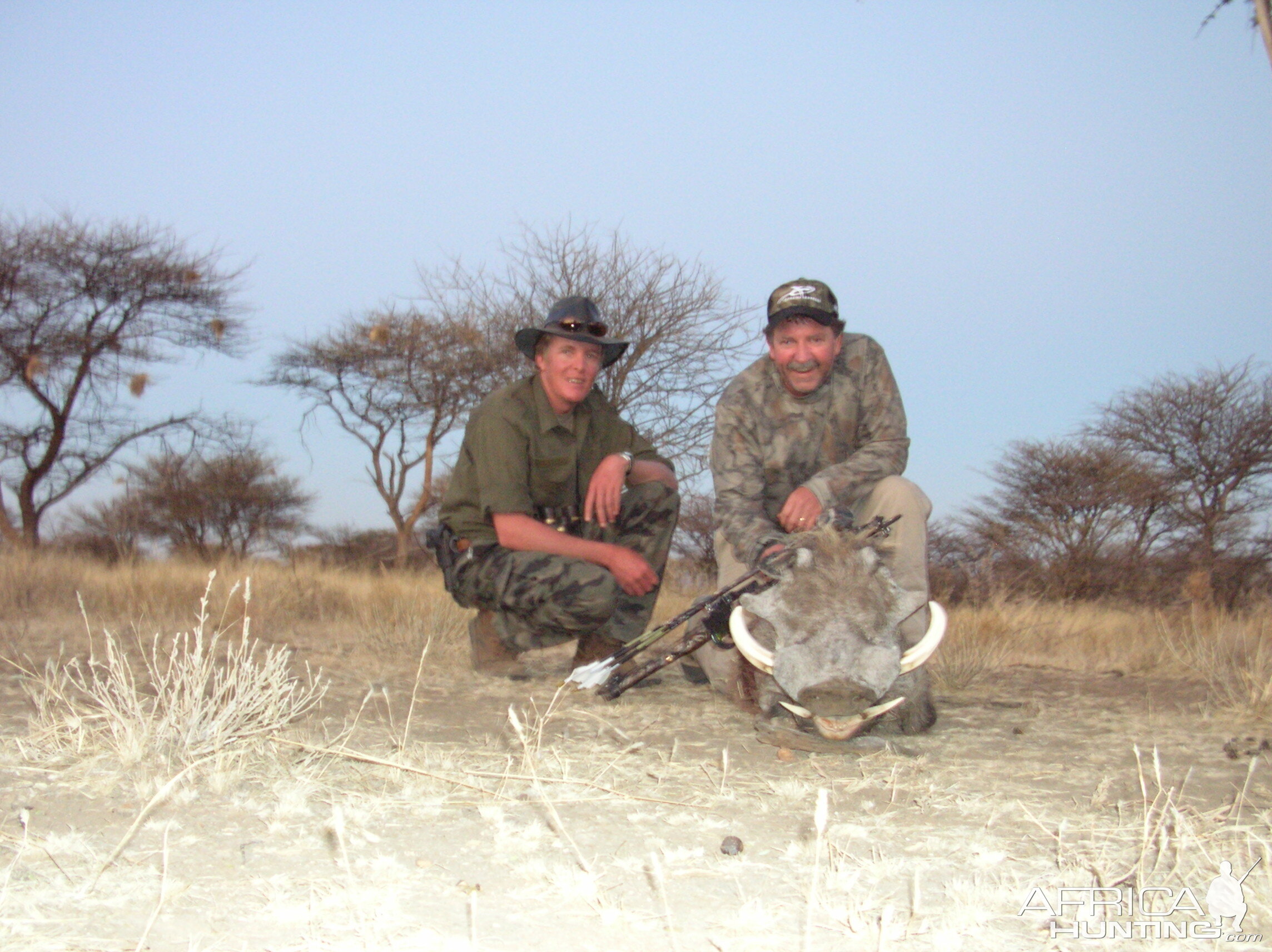 Bowhunting Warthog in Namibia