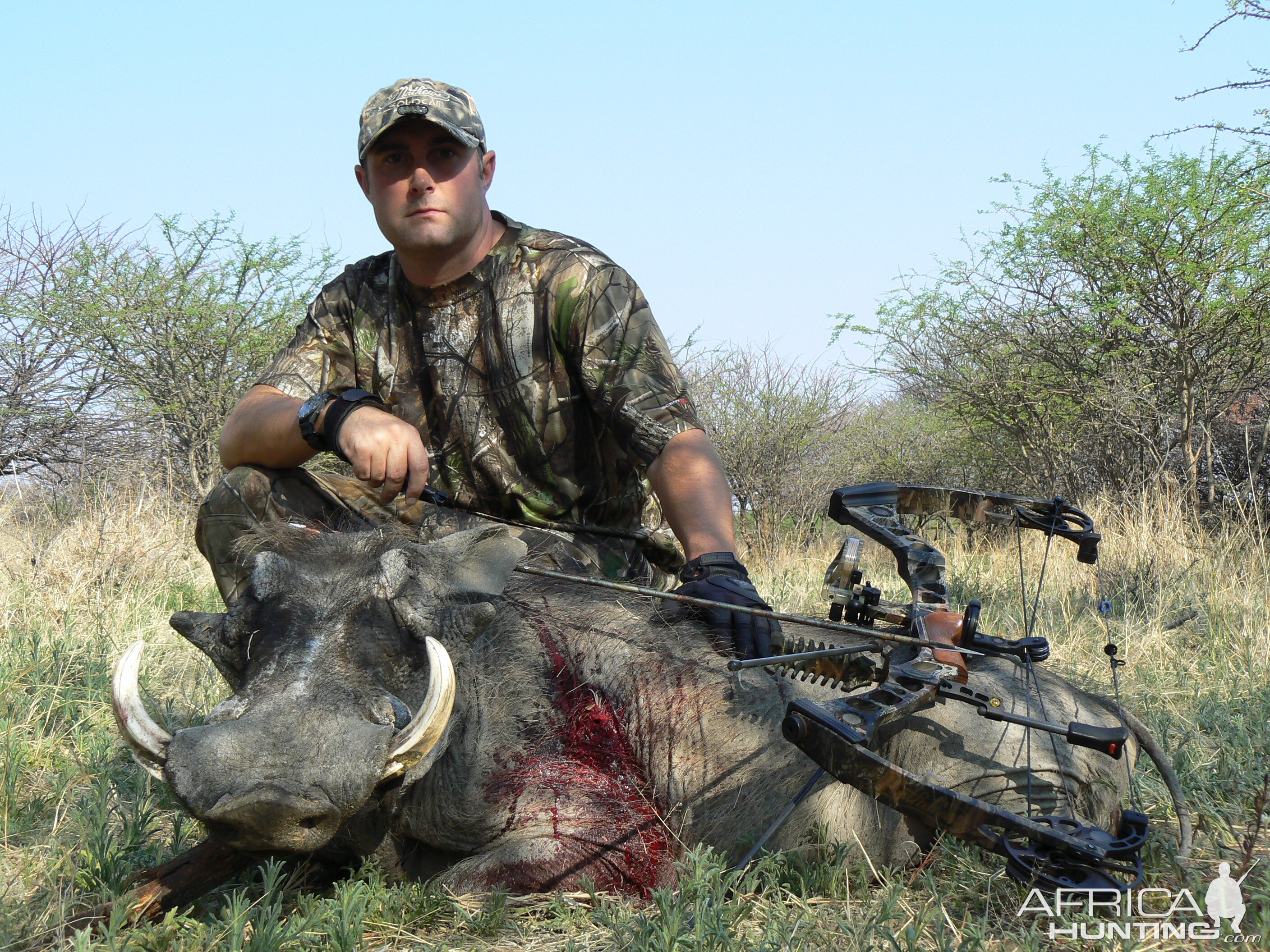 Bowhunting Warthog in Namibia