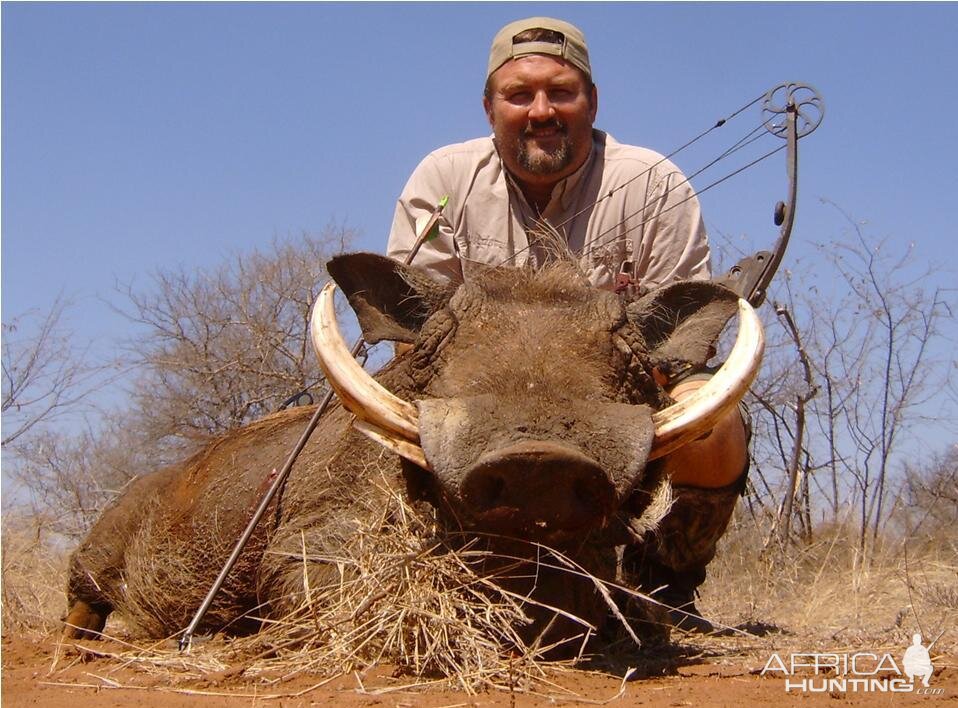 Bowhunting Warthog in South Africa