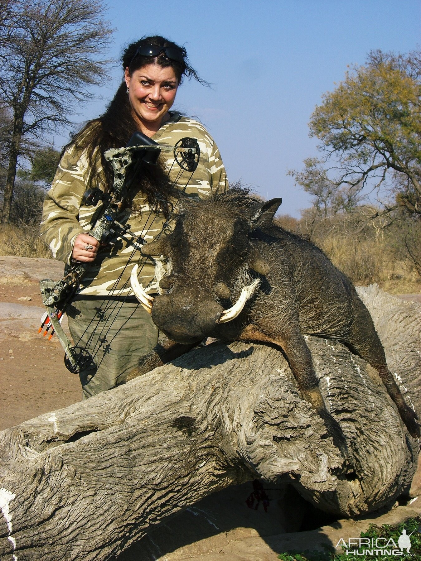 Bowhunting Warthog