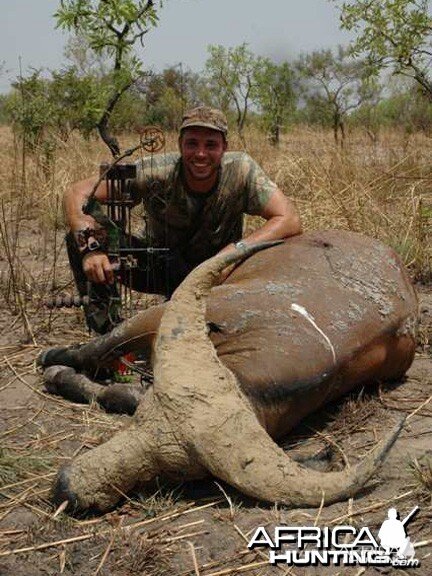 Bowhunting West African Savanna Buffalo