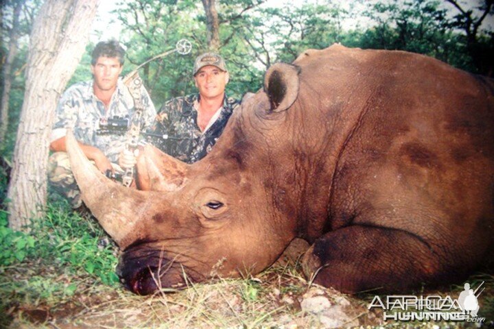 Bowhunting White Rhinoceros