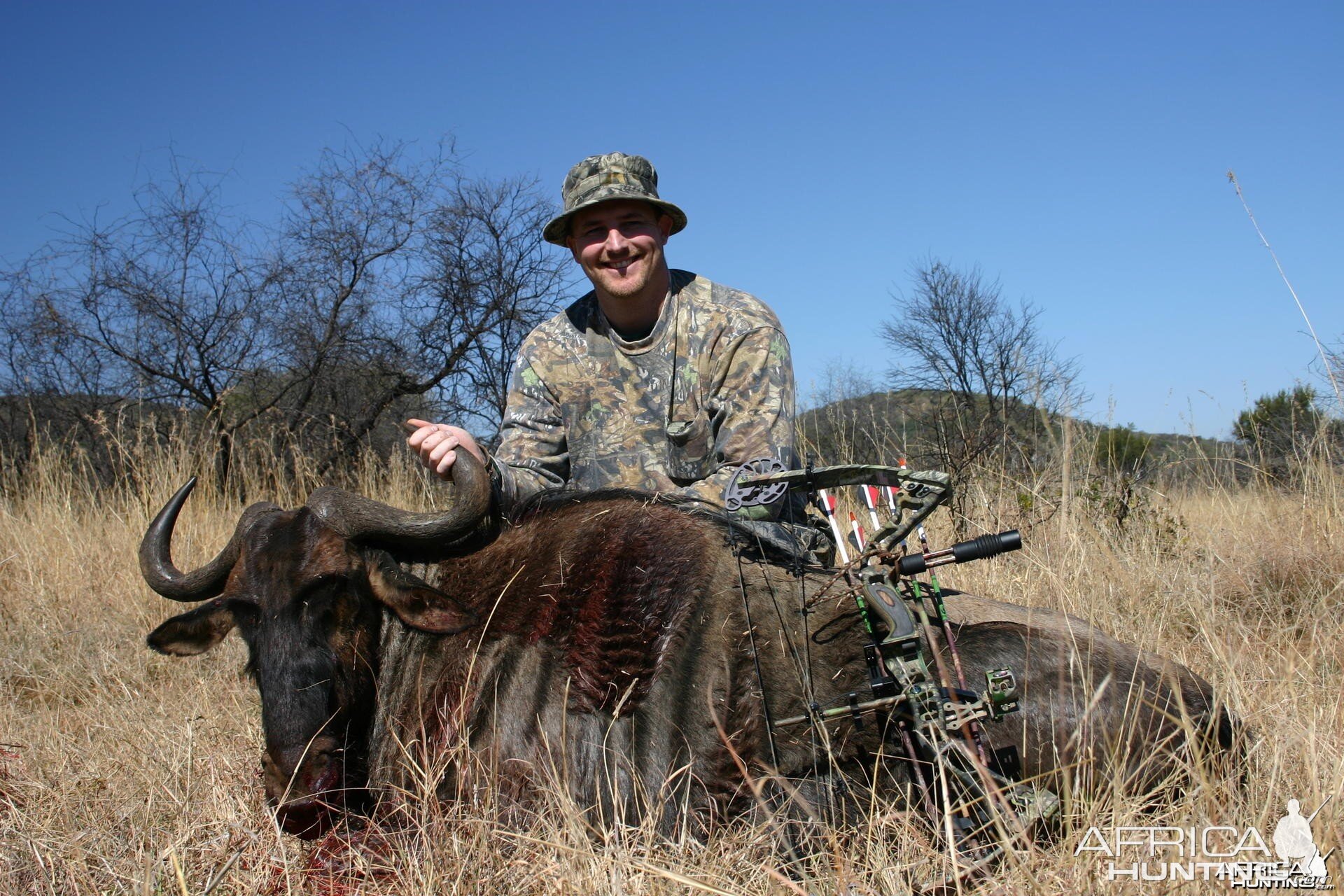 Bowhunting Wildebeest South Africa