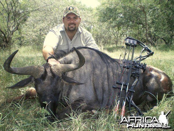 Bowhunting Wildebeest