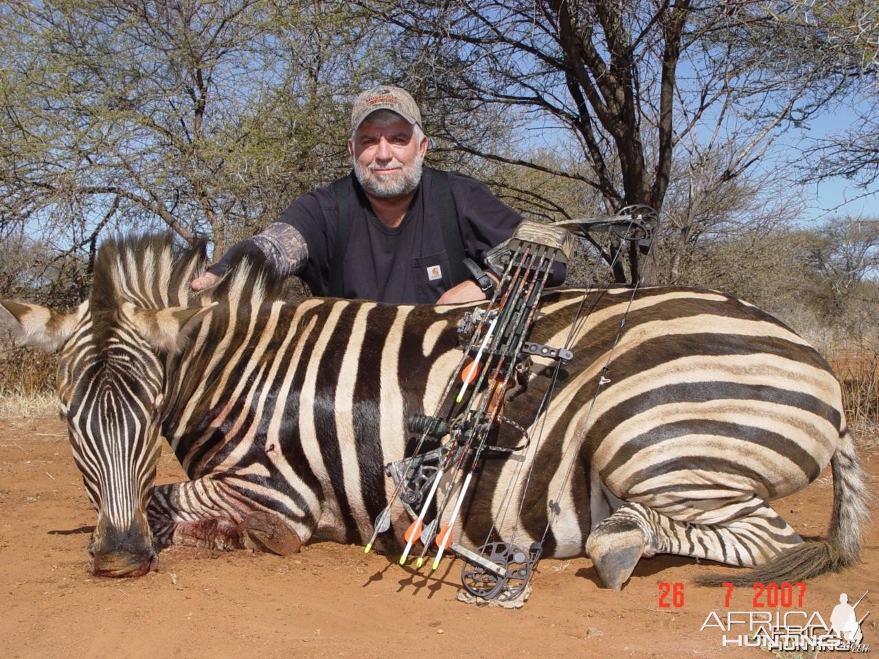 Bowhunting Zebra