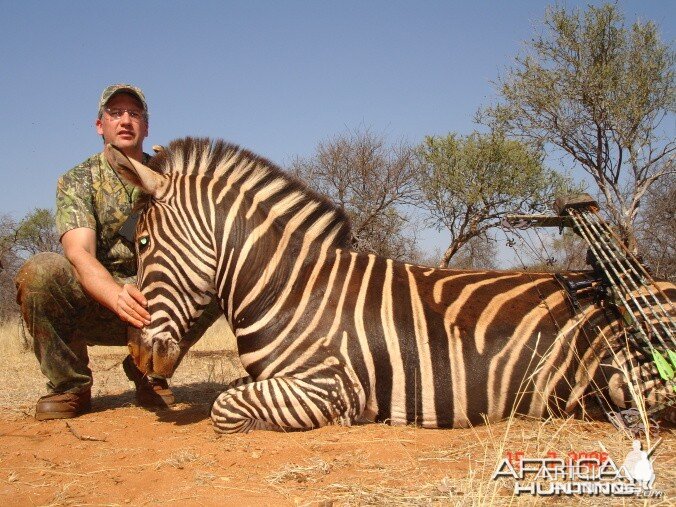 Bowhunting Zebra