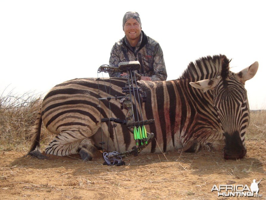 Bowhunting Zebra