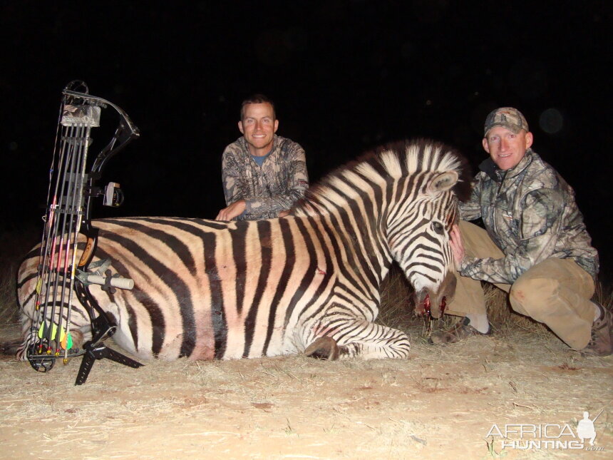 Bowhunting Zebra