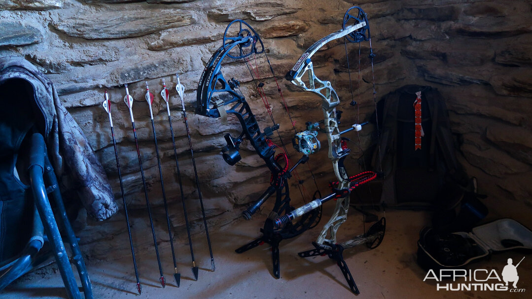 Bowtech RPM360 & Bowtech Assassin Bows