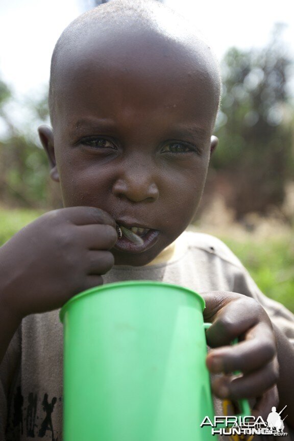 Boy eats ants from cup