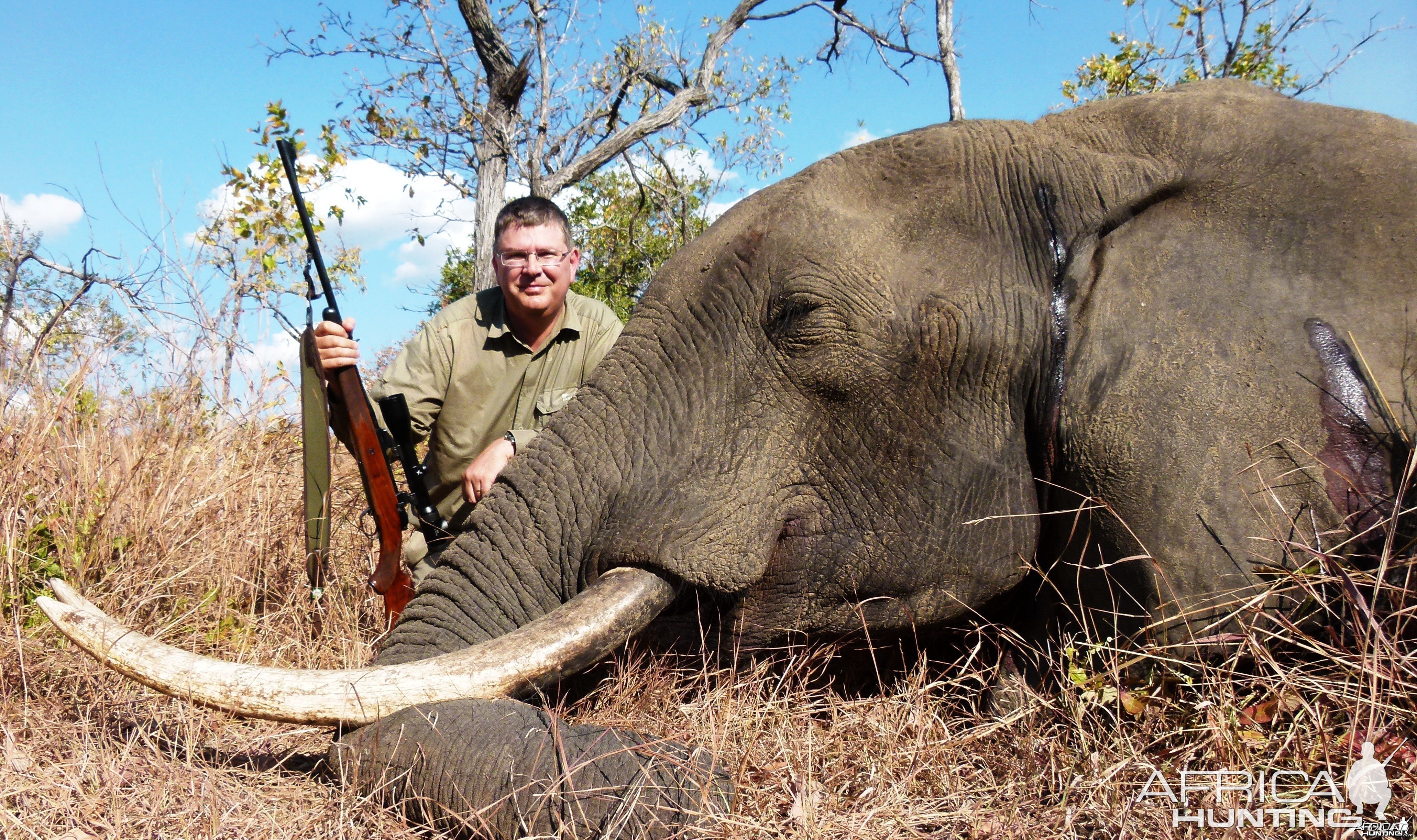 Brain shot on Elephant... Tanzania