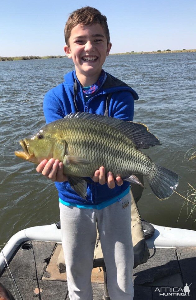 Bream Fishing Zimbabwe