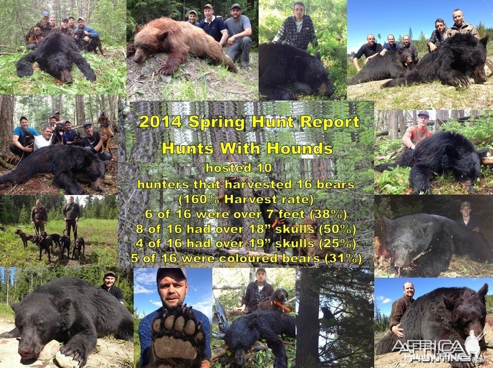 British Columbia Black Bear Hunt