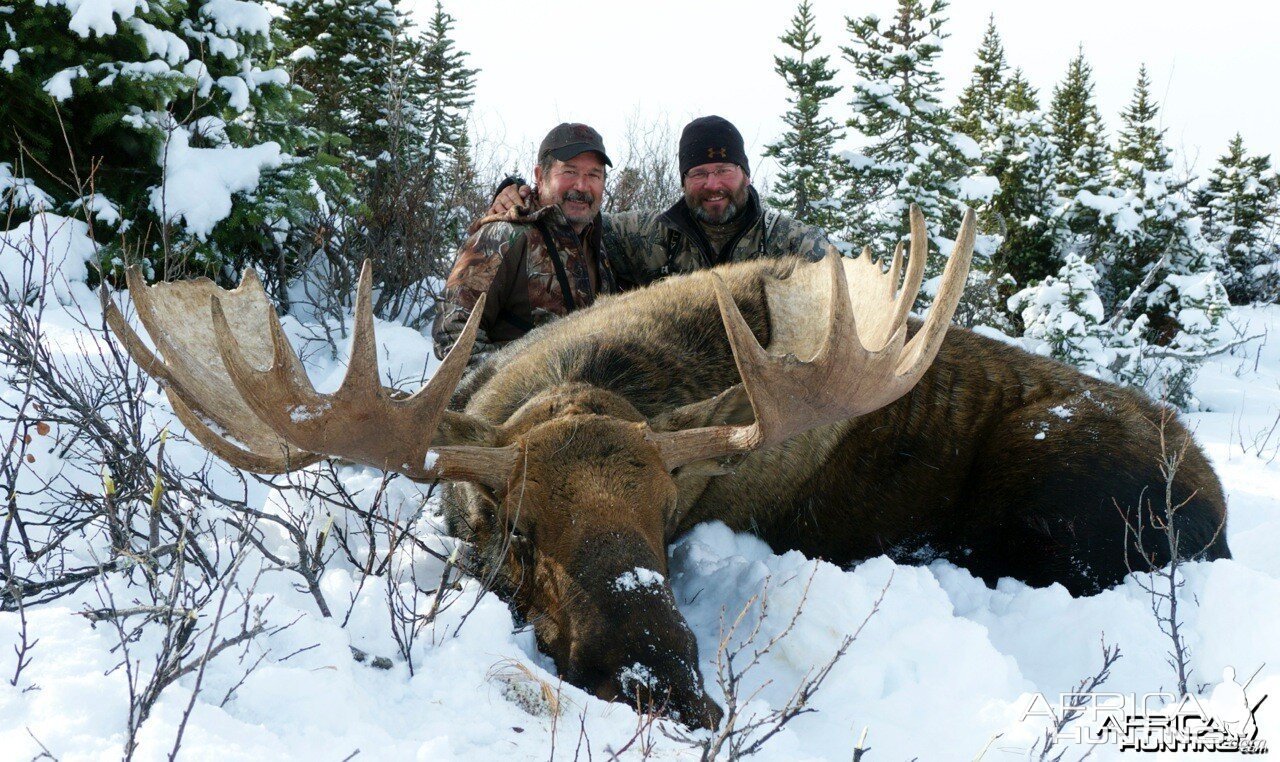 British Columbia Moose Hunt