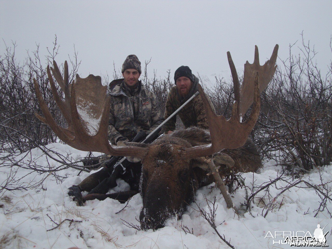 British Columbia Moose Hunt