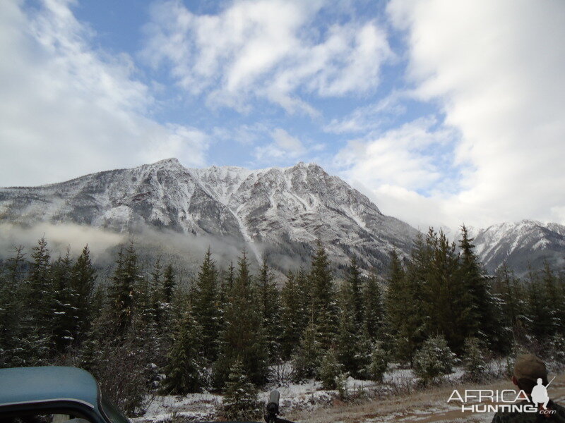 British Columbia Rocky Mountain Goat Hunt